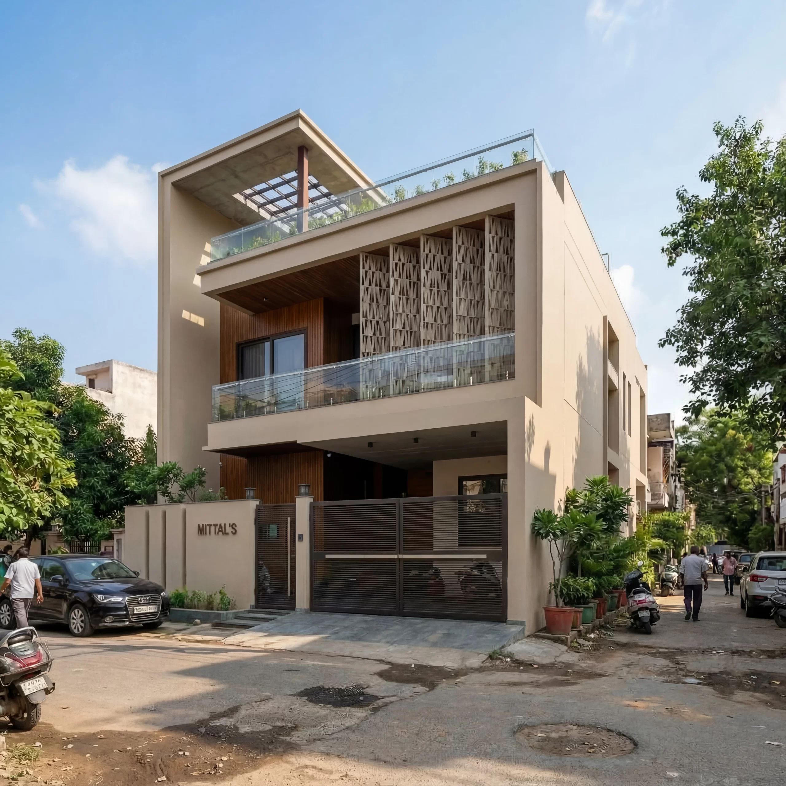 A red flower in bloom